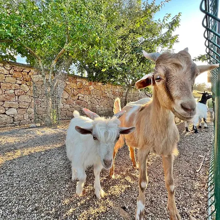 호텔 Turnabogazi Ciftlik Evleri